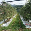 순창군농업기술센터 이미지