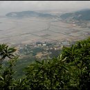 오동천 이미지