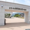 뿌리깊은나무박물관 이미지