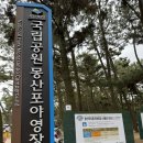 몽산포자동차야영장 | [캠핑] 태안 국립공원 몽산포자동차야영장 D구역 우중캠핑 후기