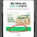 콩PC | 네이버 후기 쓰고 콩 받기(콩 모으는 방법 모음)