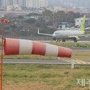 온화 이미지