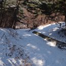 수원목장 이미지