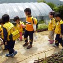 금정농장(2) 이미지