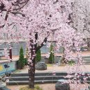 빨래터공원 화장실 이미지