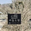 음악이 머무는 도시 | 춘천 신축 펜션 추천｜오월리 감성 숙소 버들도원 버들정원룸 후기