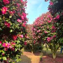 남원읍-55 이미지