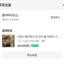 현대자동차화도점 | #35. 임신 29주차 일상