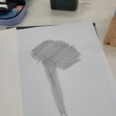 보테니컬아트(색연필그림)(야) | 색연필로 꽃 한 송이 완성하기, 벌개미취 보테니컬 아트 후기