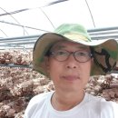 김형표농장 이미지