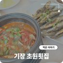초원 | 기장 대변항 멸치쌈밥 멸치무침 맛본 초원횟집 방문 후기