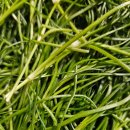 경희농장 이미지