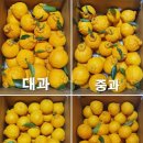 삼진농장 이미지