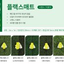 골드플랙스