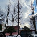 뭉개구름 이미지