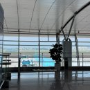 472 | 대한항공 인천-호치민 (KE471, KE472) 탑승 후기 및 신도트립 패스트패스 이용 후기