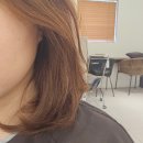 청두곶15길 14-6 | 신사역 미용실 코르브, 봄 맞이 밀크브라운 염색 후기