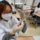 동구 코로나백신센터 앞 이미지