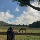 이시돌목장 이미지