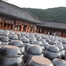 정점심의 디카詩 화로(花路)*묵언 수행 중- 김자인 이미지