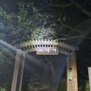 [100대명산] 지리산 백중종주(백무동~중산리) 우중산행 이미지