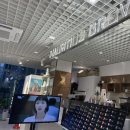 모리셔스브라운여의도