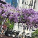 (주)평농 이미지