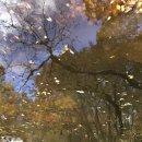 백옥세탁소 이미지