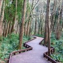 남원읍-82 이미지