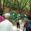 김천시장애인종합복지관, “숲으로의 아름다운 여행” 실시 이미지