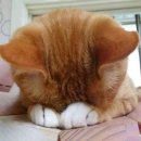 맘존 여성병원 이미지