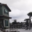 돌담하우스(민박) 이미지