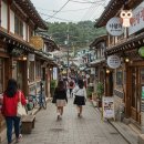 초원 숲속 야영장 이미지