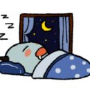 오렌지 휘트니스 이미지