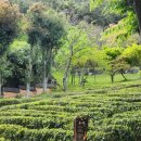 초의선사탄생지(1) 이미지