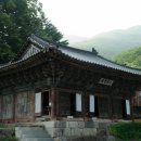 광탄경매시장 이미지