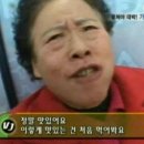 그린암돼지한마리