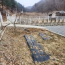 송산나래부동산공인중개사사무소 이미지