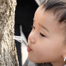 미산1리고로쇠마을 이미지