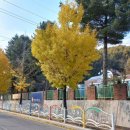 강림면우체국 이미지