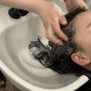 씨에이호텔 | 대전 둔산동 미용실 유엘헤어 시세이도 크리닉 후기 무조건 재방문 예정