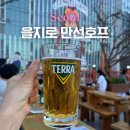 을지로 노가리 골목 야장 맛집 원조 만선호프 루프탑 후기