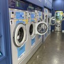 세탁기능사 실기 속성반 개강공지 이미지