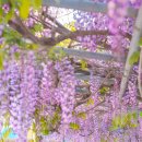 합도초등학교 이미지