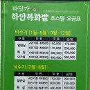 바닷가하얀목화밭 이미지