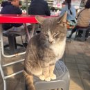 (주)행복한농장(청하농장) | [월롱딸기] 아이랑 가기 좋은 파주 딸기 농장 체험장 "월롱딸기" 다녀온 후기