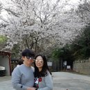 삼익떡방앗간 이미지