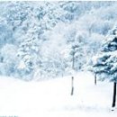 은서목장 이미지