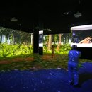 카페 태백로2417 이미지