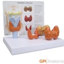 연세온유외과의원 이미지